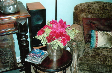 Estilo Pilar 2005